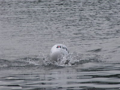 Trofeo Open Water Open Mind