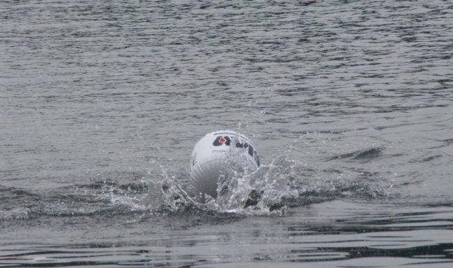 Trofeo Open Water Open Mind